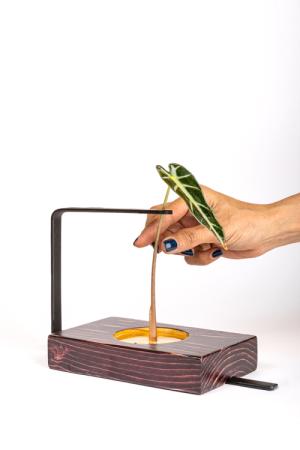 product-title