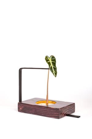 product-title