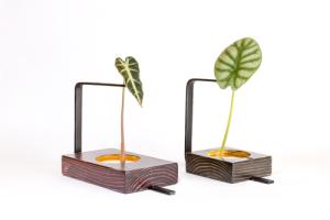 product-title